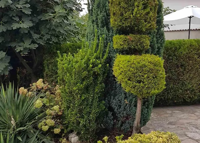 Self -contained Part Of A House With Garden Lejlighed *